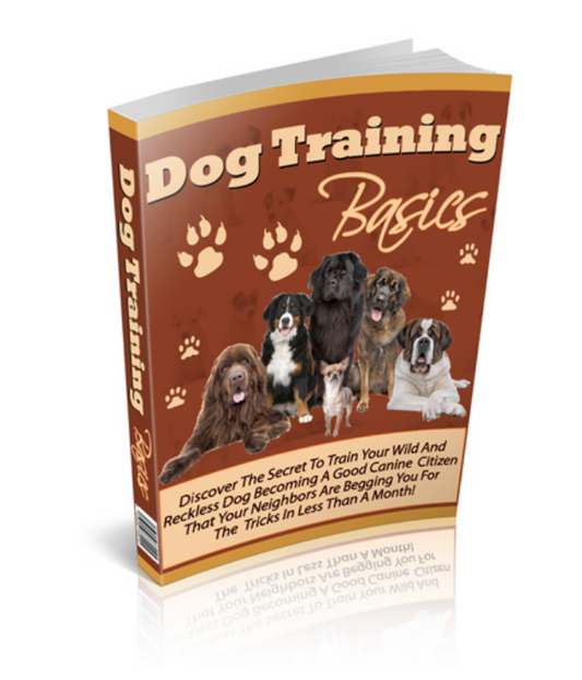 Dog Training Basics: Your Step-by-Step Guide to a Well-Behaved, Happy Pup