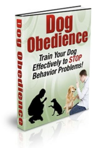 Dog Obedience: Your Blueprint to a Well-Trained, Cooperative Companion